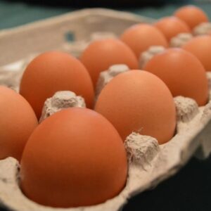 Premium Organic Eggs 700g (Box of 15 Dozen)