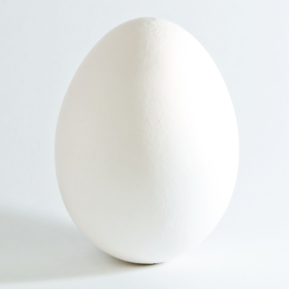 White_chicken_egg 1